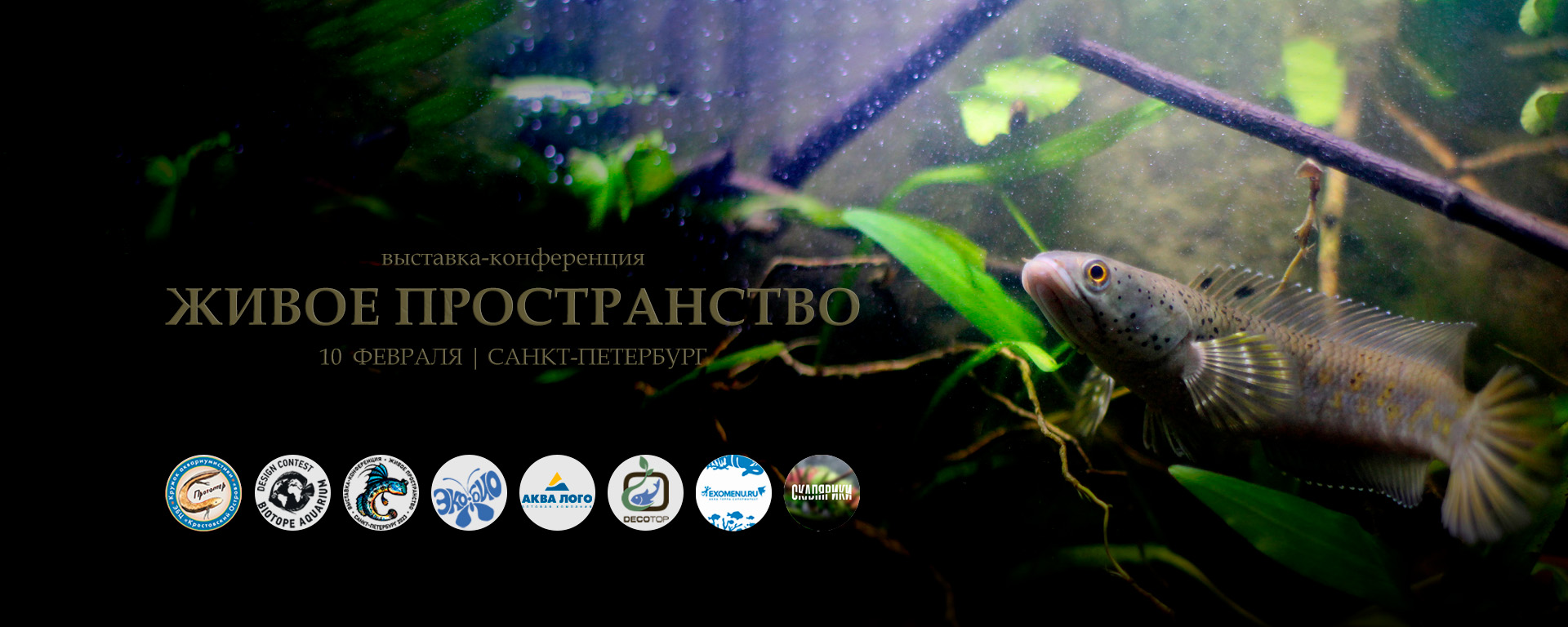 Biotope Aquarium — Все про биотопные аквариумы и подводные экосистемы