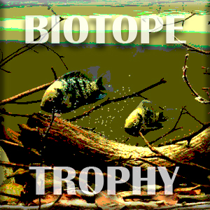 Biotope-trophy