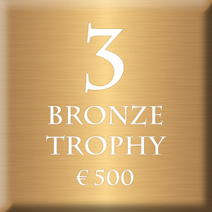 Bronze-trophy-3