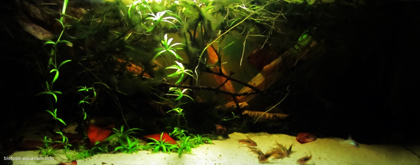 Aquarium Sand Dehner