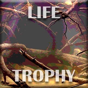 Life-trophy
