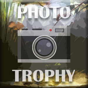 Photo trophy