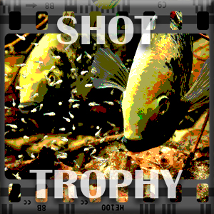 Shot-trophy
