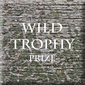 wild-trophy-3.jpg