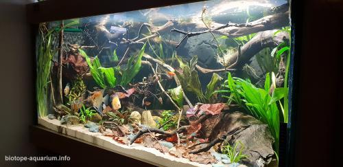 Rio Negro Clear water, 486 L – Biotope Aquarium