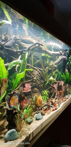 Rio Negro Clear water, 486 L – Biotope Aquarium